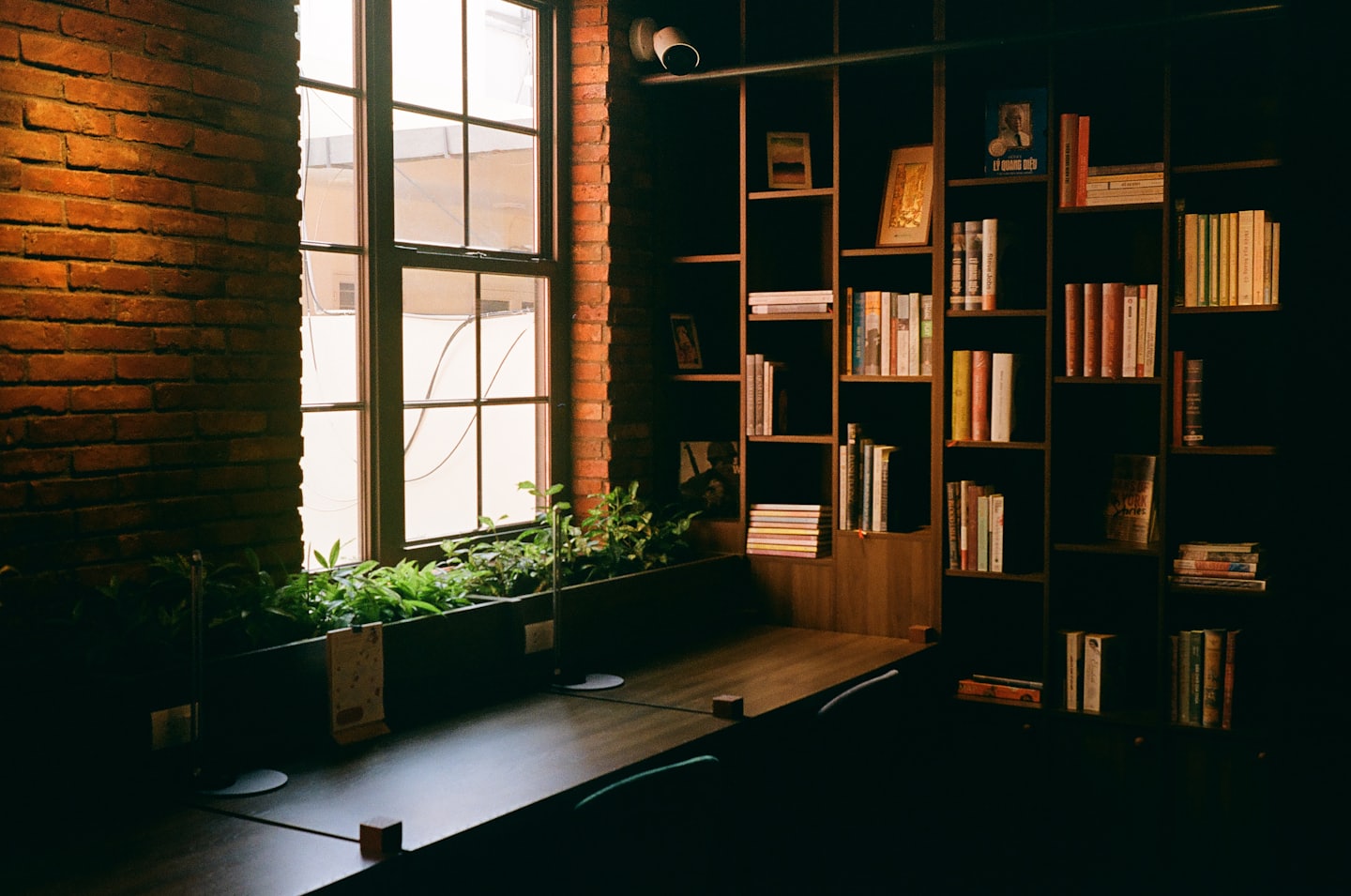 Scrivania con piante accanto a una libreria e una finestra.